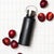 Ever Eco Insulated Drink Bottle Onyx - 500ml