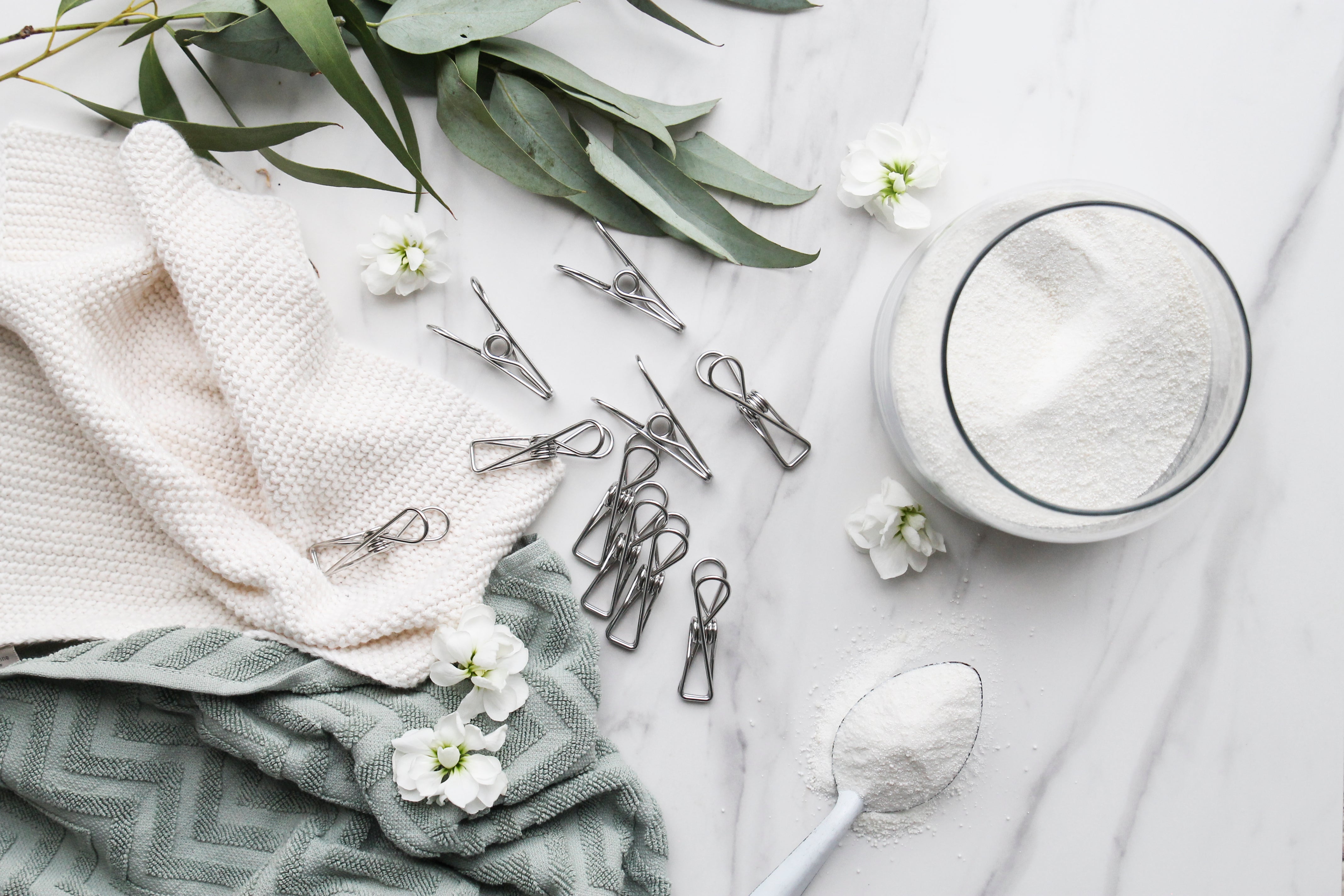 Ever Eco Stainless Steel Clothes Pegs - 20 Pack