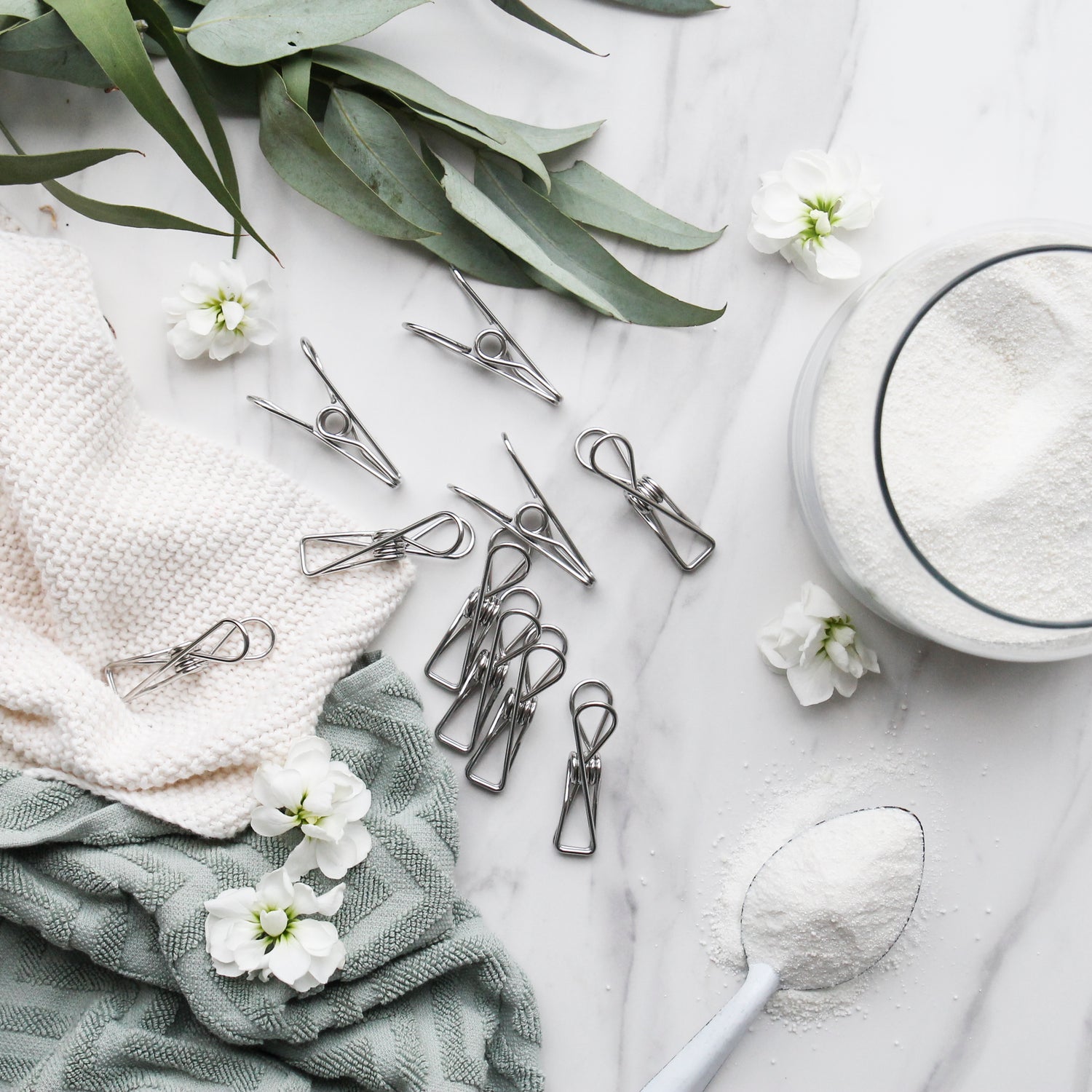 Ever Eco Stainless Steel Clothes Pegs - 20 Pack