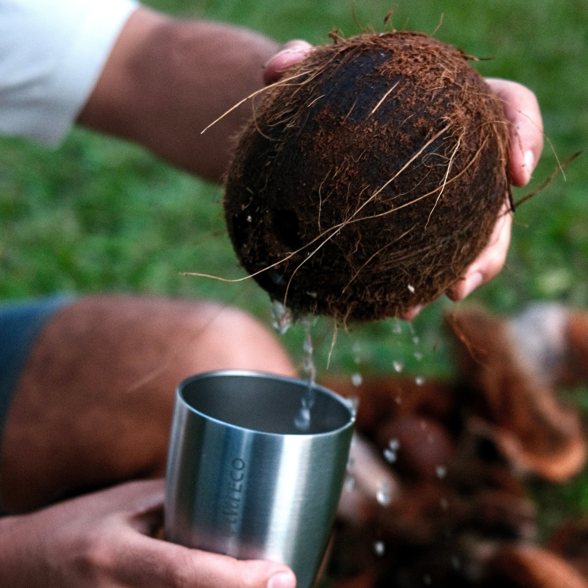 295ml Insulated Coffee Cup - Brushed Stainless