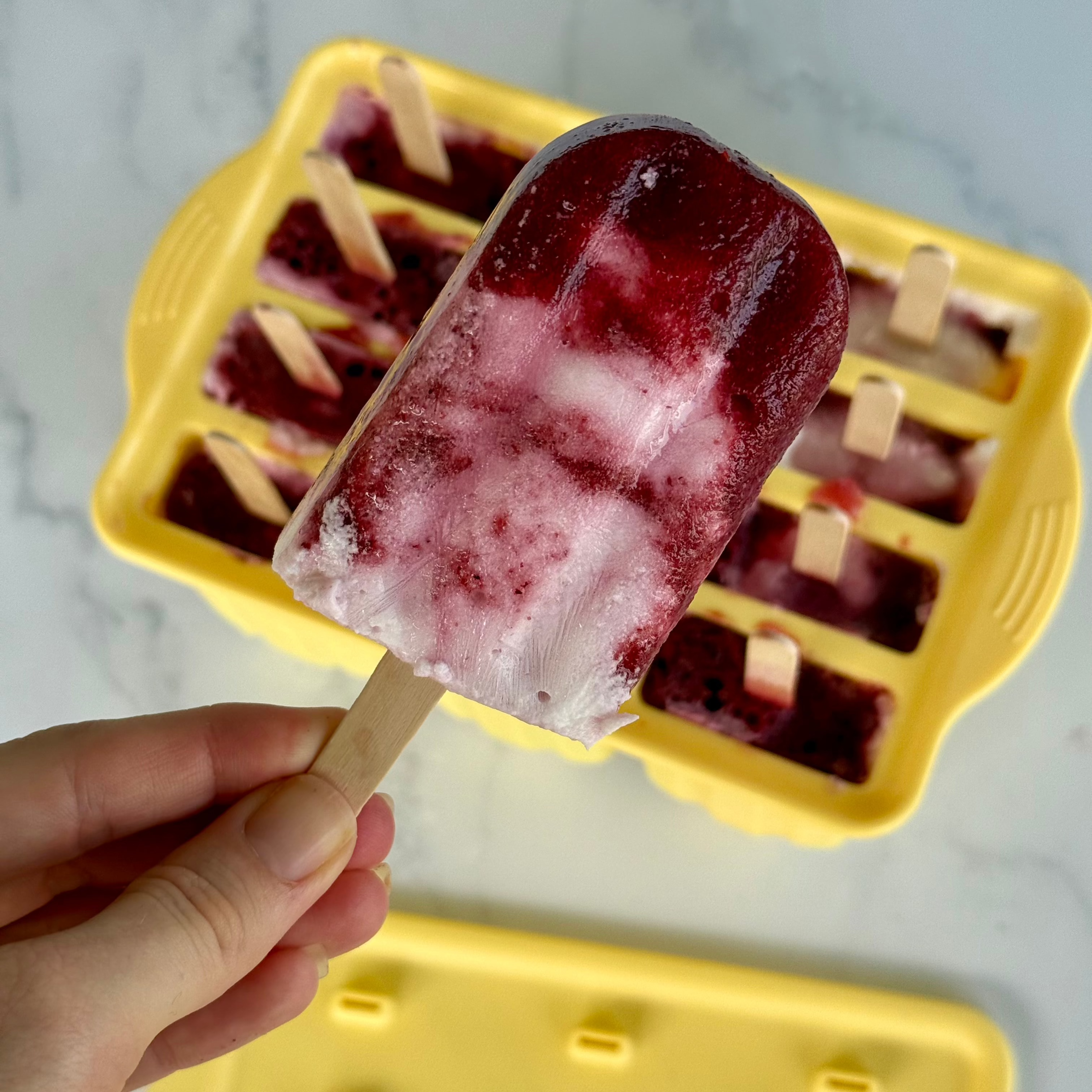 Ever Eco Popsicle Moulds 12 Pack