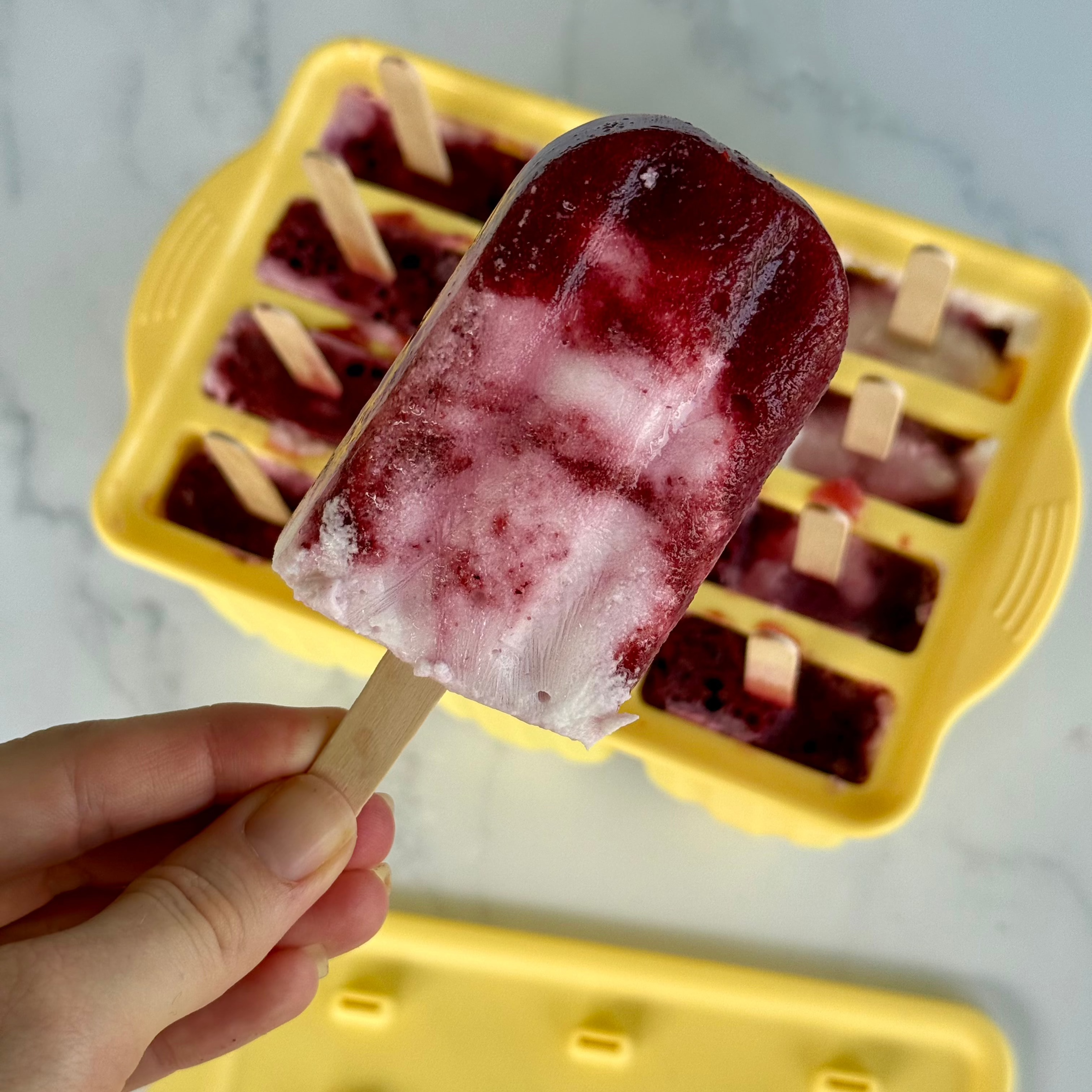 Popsicle Moulds 12 Pack