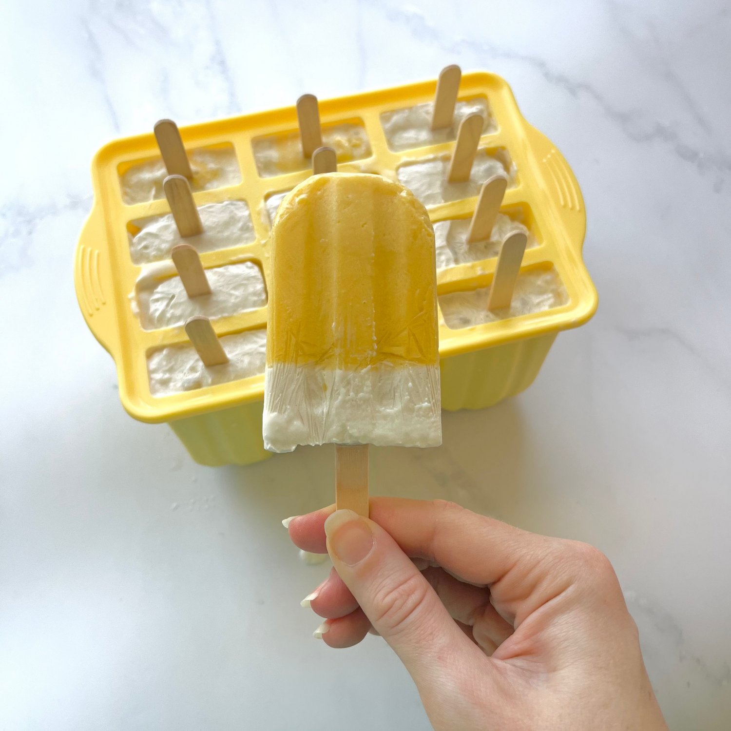 Popsicle Moulds 12 Pack