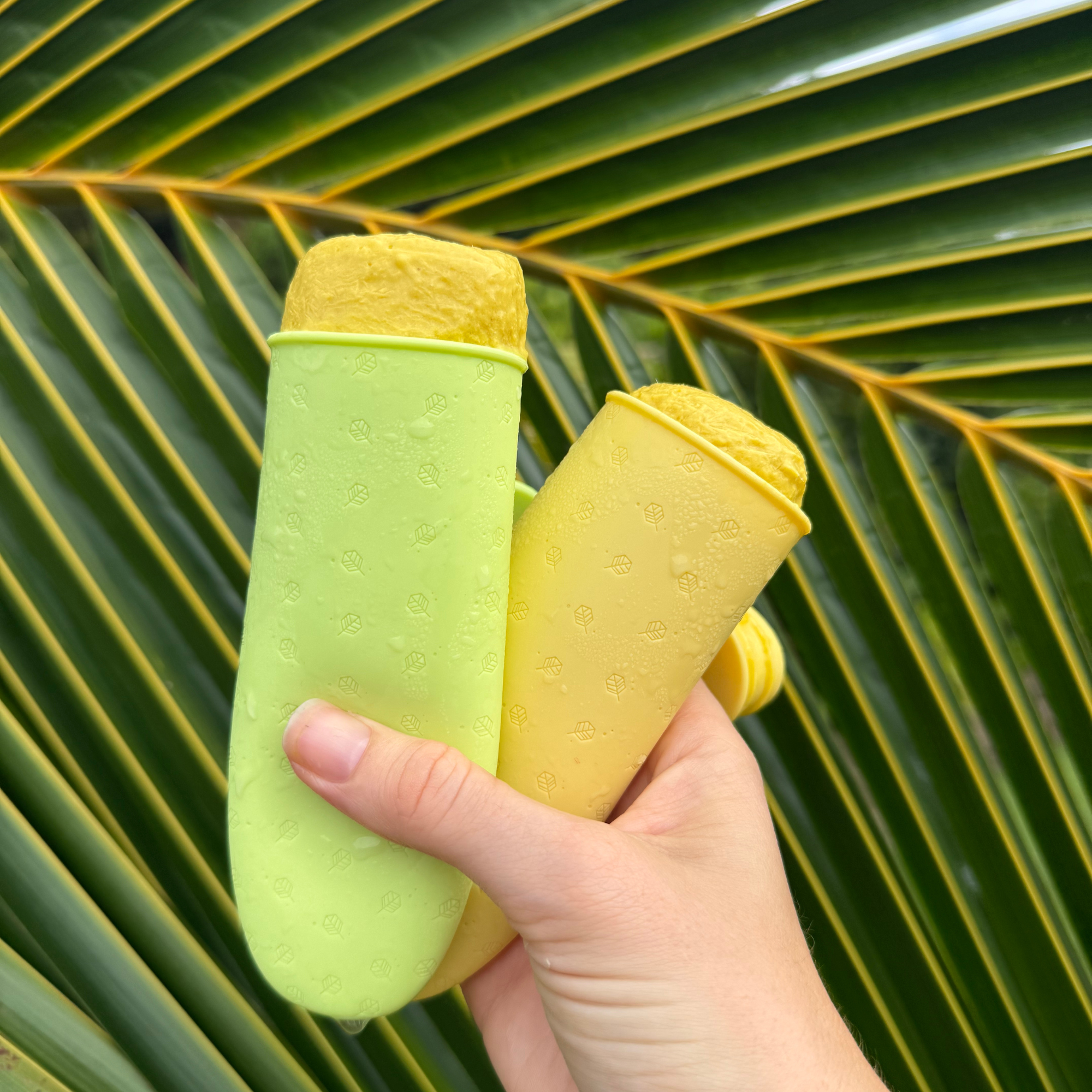 Popsicle Moulds 4 Pack